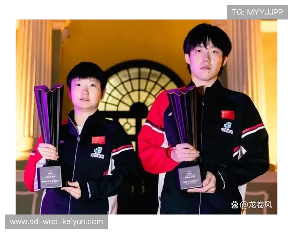 世界乒坛明星赛赛事推广与票务策略公布，乒乓球世界明星巡回赛